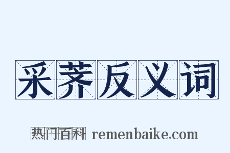 采荠反义词是什么意思的图片